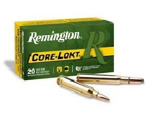 6mm Remington 100 Grain